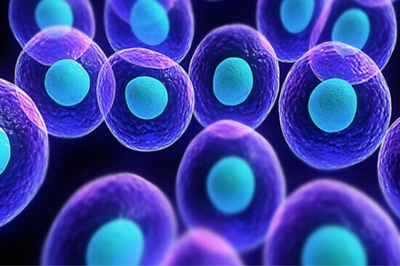 Stem Cell Treatment and Overview