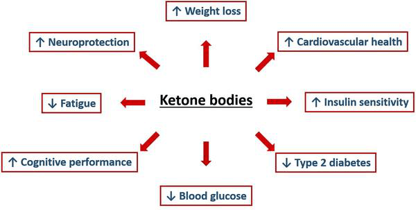 The Ketogenic Diet, Stem Cells and Anti-Aging